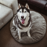 Khaki PupSak Dog Bed X-Large (120cm) with a husky