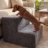 Dachshund climbing a Charcoal PupStep 2-Step onto a couch