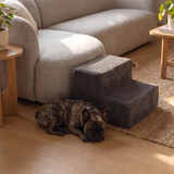 French bulldog resting beside a Charcoal PupStep 2-Step