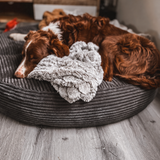 Charcoal PupSak Dog Bed X-Large (120cm) with a border collie and blanket