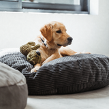 Charcoal PupSak Dog Bed Small (65cm) with a golden retriever puppy