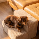 Dachshund lying on a Khaki PupStep 2-Step
