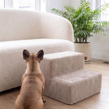 French bulldog looking up at a Platinum PupStep 2-Step