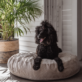 Platinum PupSak Dog Bed