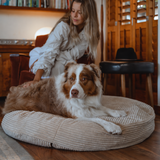 Sand PupSak Dog Bed Large (100cm) with an Australian shepherd